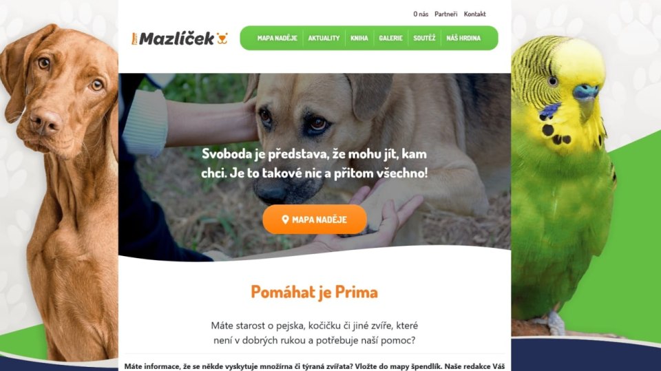 Prima MAZLÍČEK